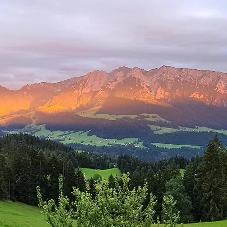 Schwindelfrei Appartement Niederndorferberg